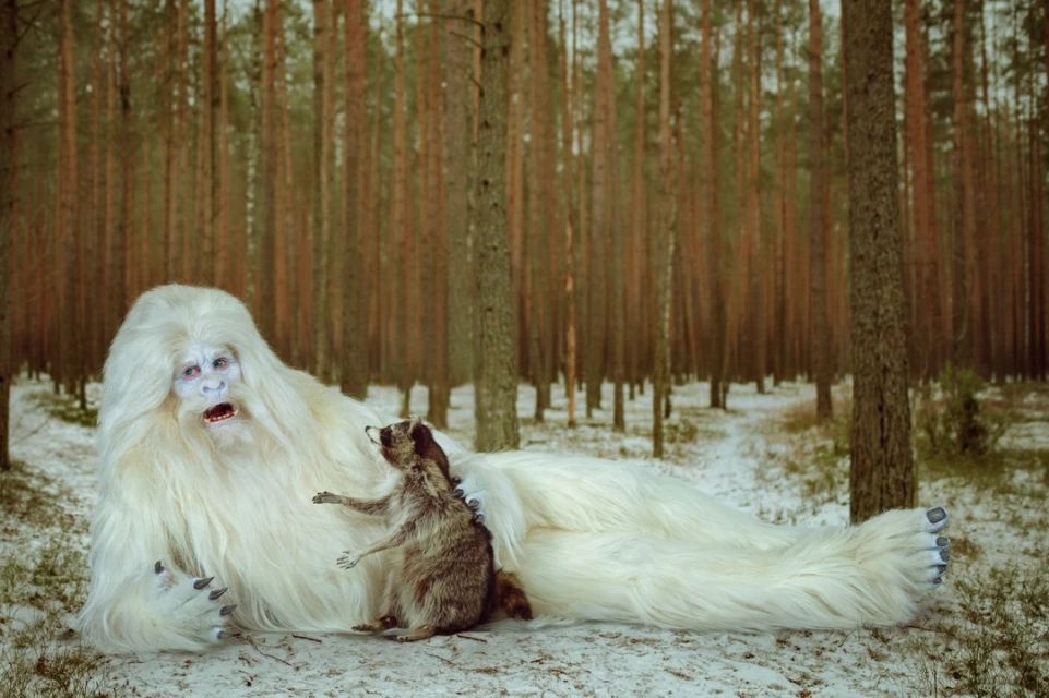 A snowy yeti-like creature with white fur lies in a snowy forest next to a furry raccoon. The yeti creature appears to be in shock.